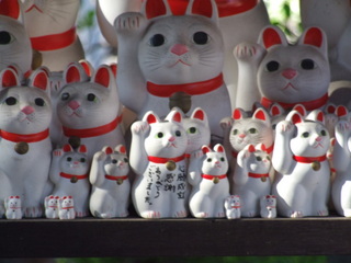豪徳寺の招き猫：ブログ挿絵用素材