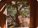 古民家から見る庭の写真