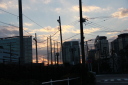 東京・夕方の写真