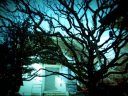 梨花と沙都子の家のイメージ写真
